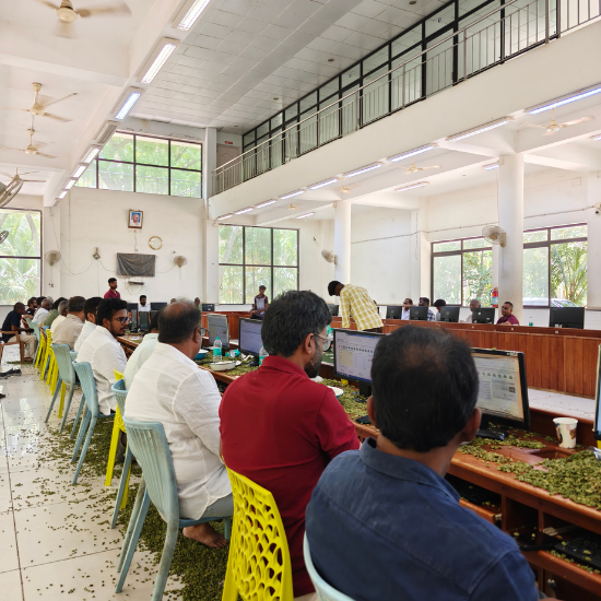 Cardamom Procurement