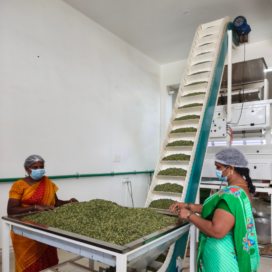 Cardamom Processing